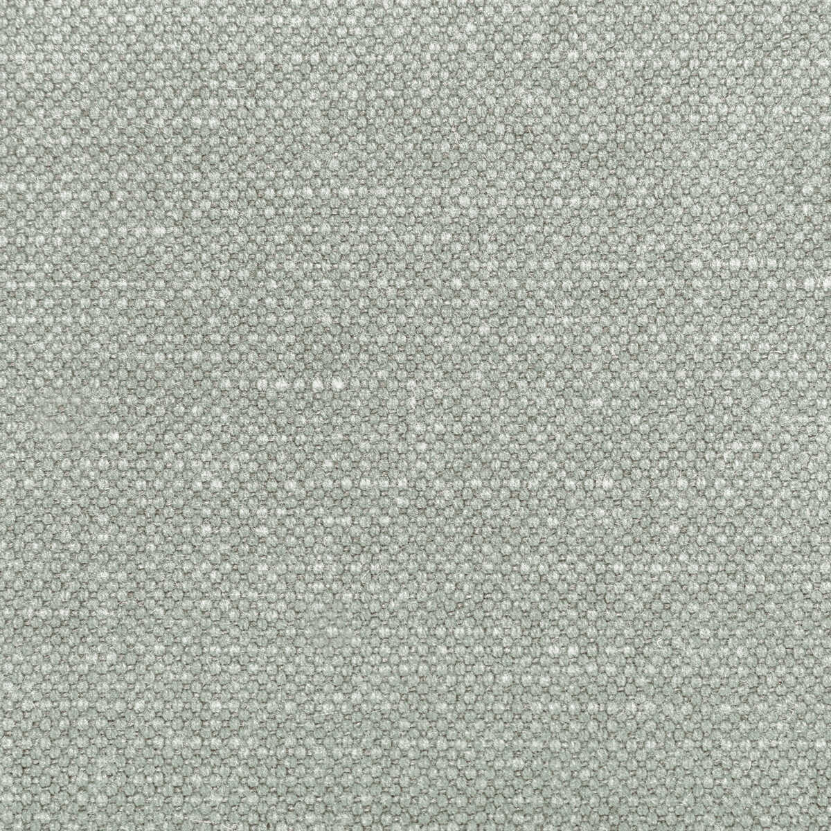 Carson - Porpoise