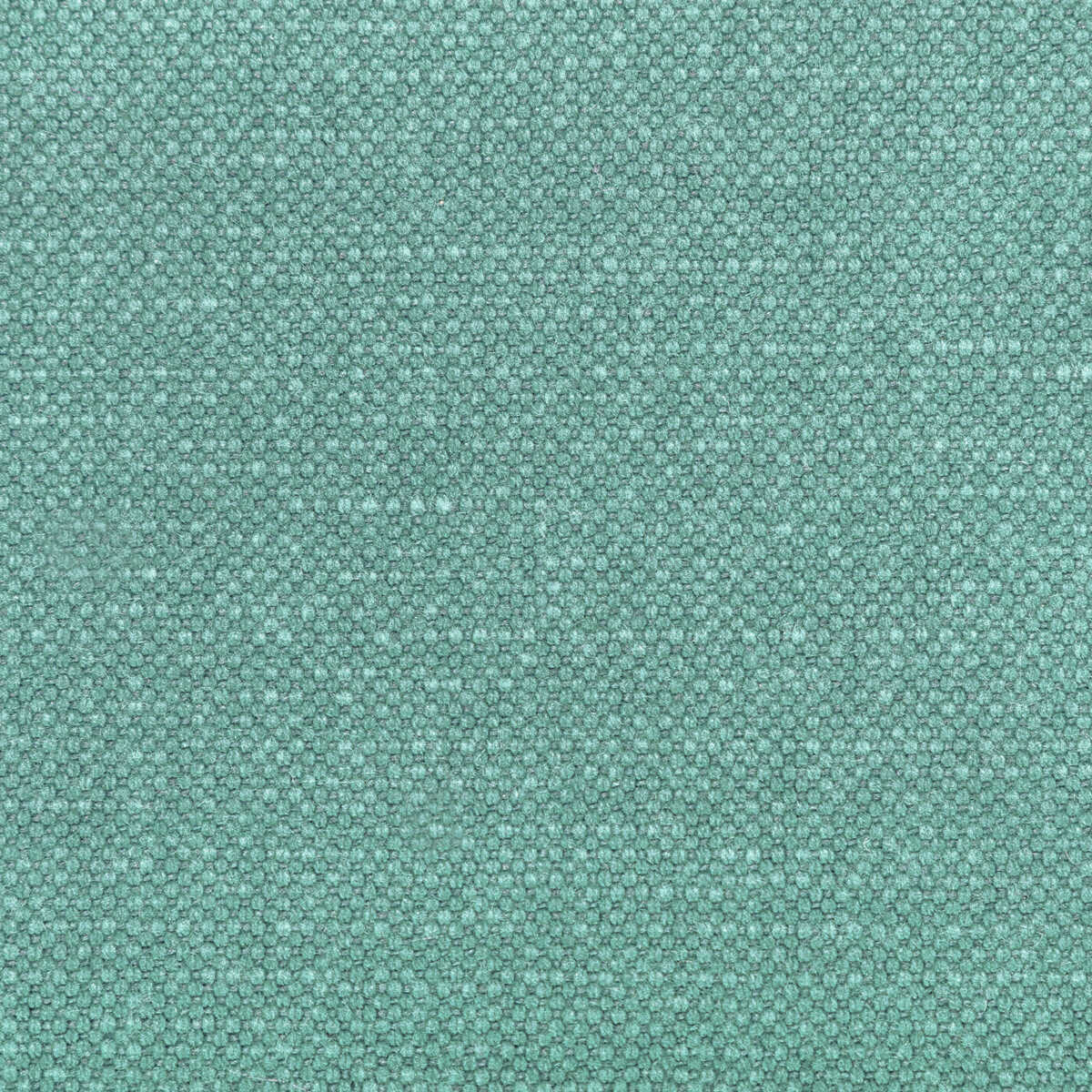 Carson - Spearmint