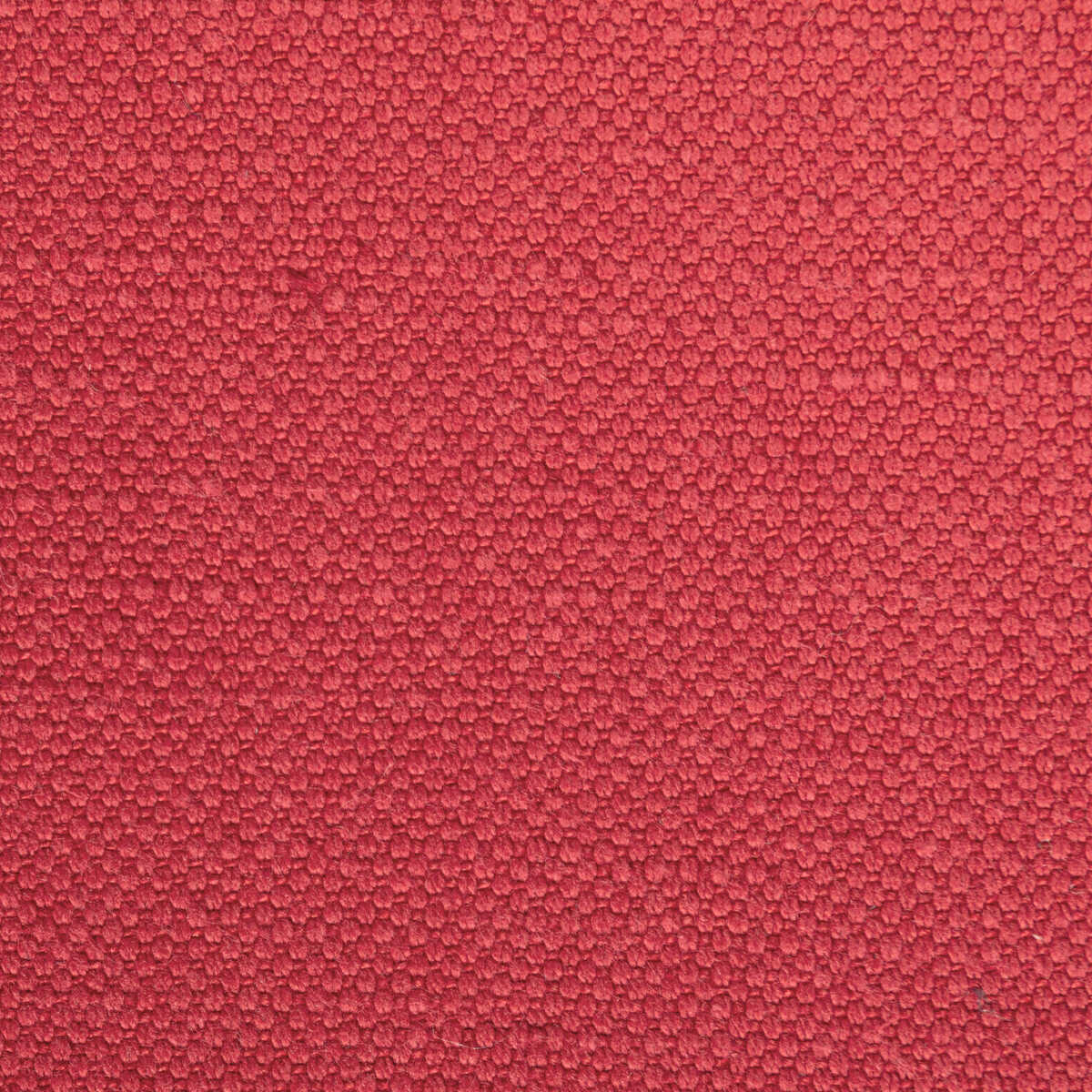 Carson - Roses - KRAVET BASICS Fabric