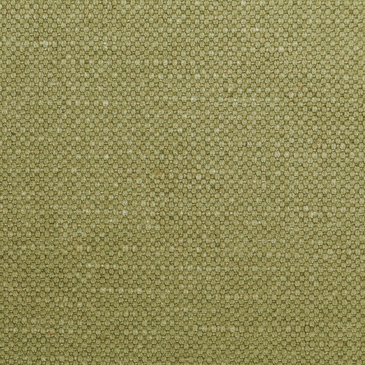 Carson - Dill - Kravet Basics Fabric