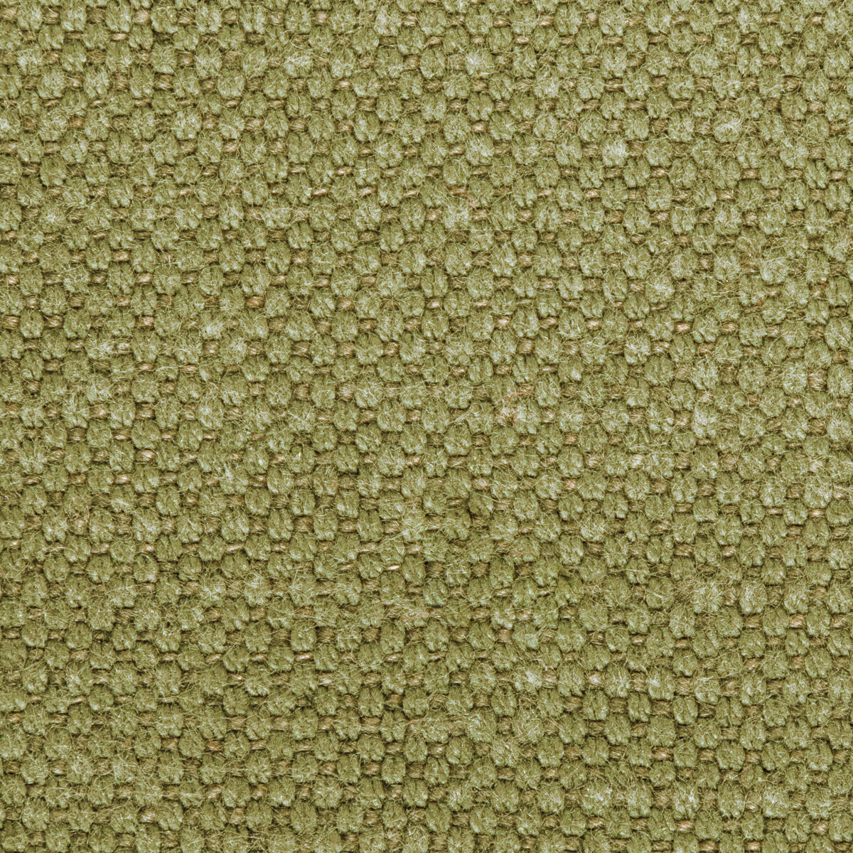Carson - Dill - Kravet Basics Fabric