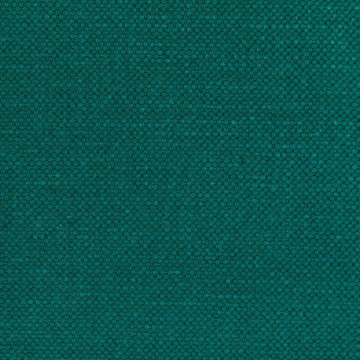 Carson - Verde - KRAVET BASICS Fabric