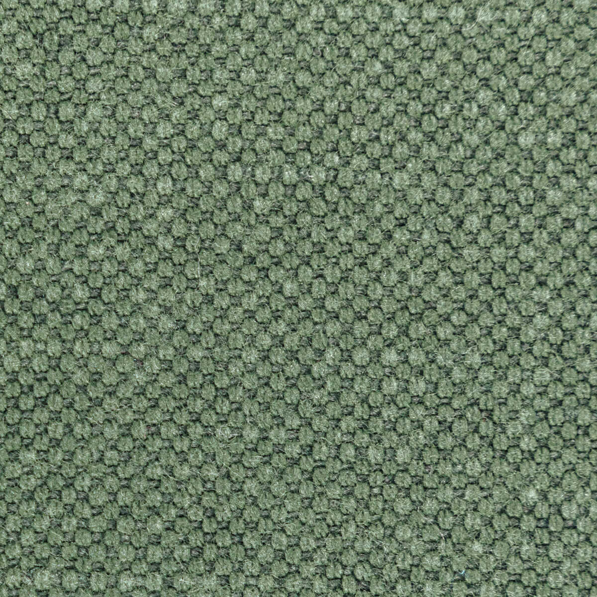 Carson - Relish - KRAVET BASICS Fabric
