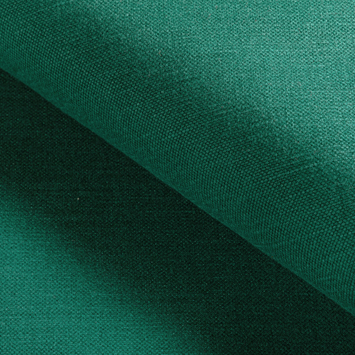 Carson - Garden - Kravet Basics Tela