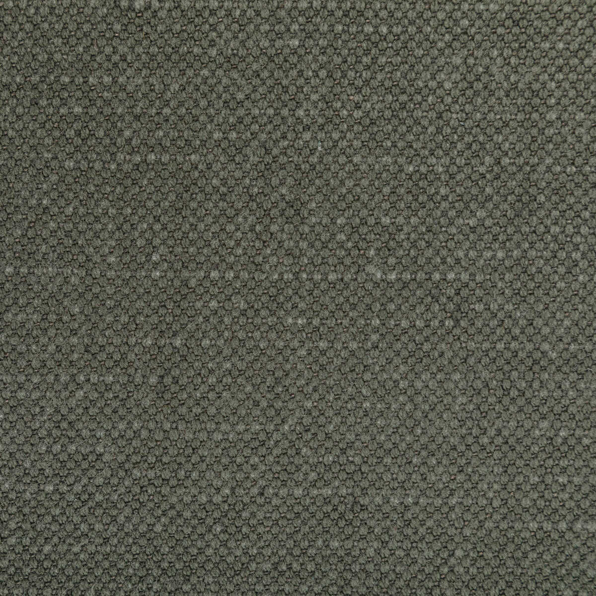 Carson - Dolphin - KRAVET BASICS Fabric