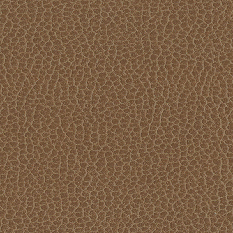 PROMESSA-FIELDS-SCHUMACHER-363-3141