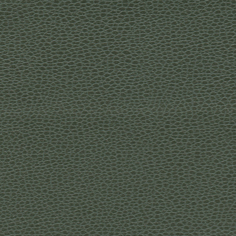 PROMESSA-HUNTER-SCHUMACHER-363-4516
