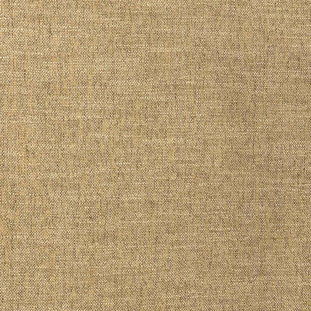 365371060 Kravet Basics 36537 106 Fabric