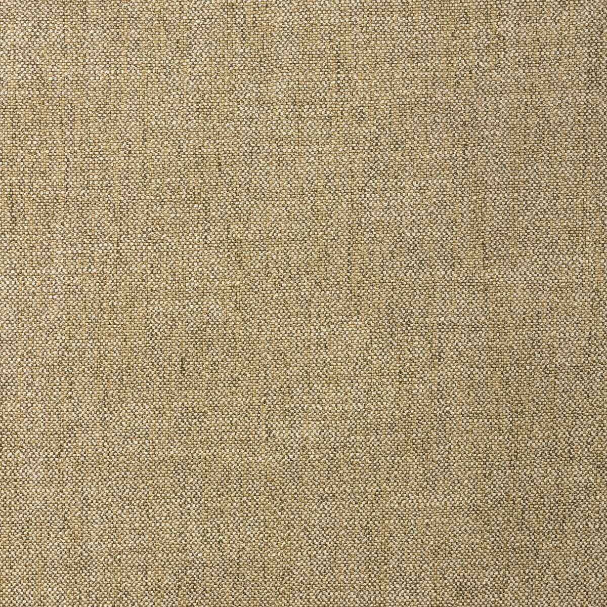 365373160 Kravet Basics 36537 316 Fabric