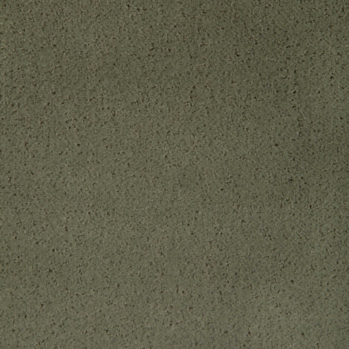 Fomo - Fennel - KRAVET CONTRACT Tela