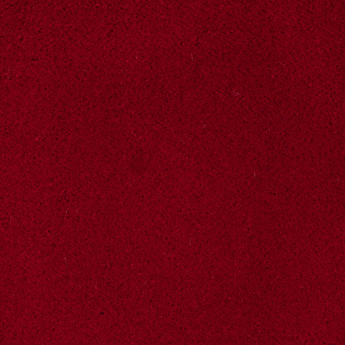 Fomo - True Love - KRAVET CONTRACT Fabric