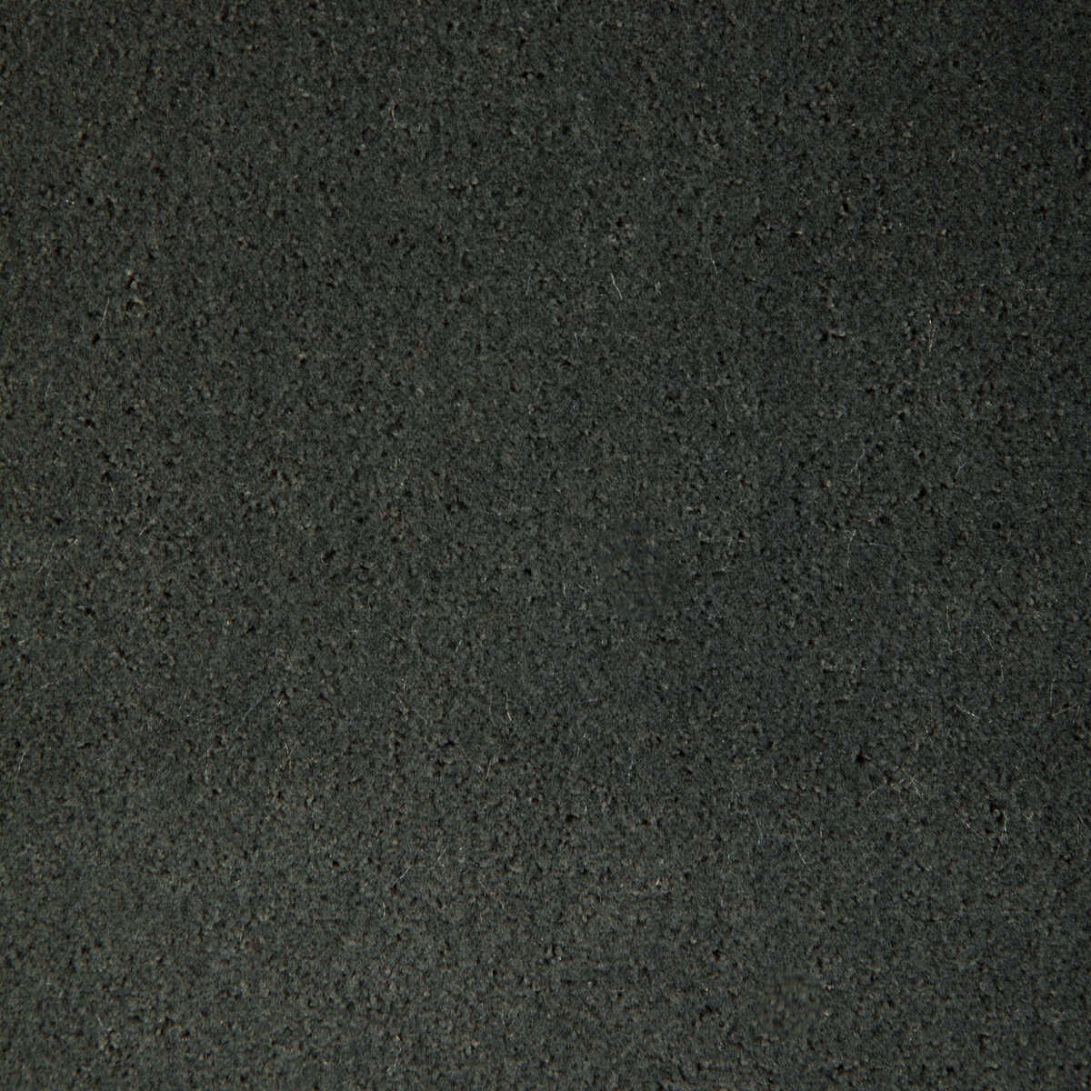 Fomo - Thunder - KRAVET CONTRACT Fabric