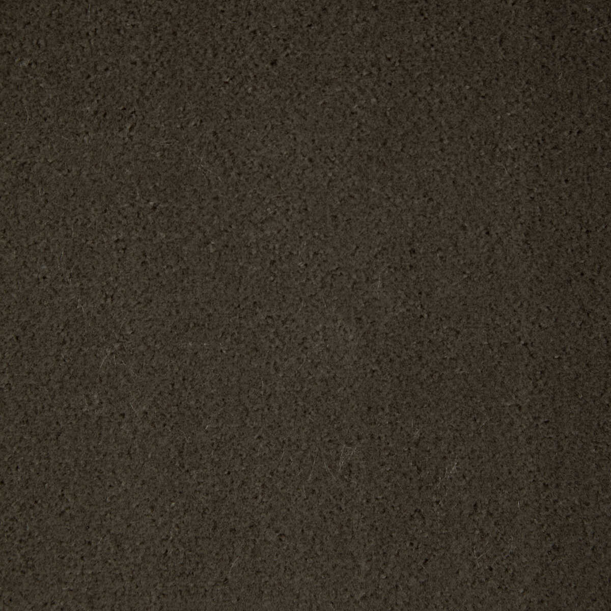 Fomo - Etruscan - KRAVET CONTRACT Fabric