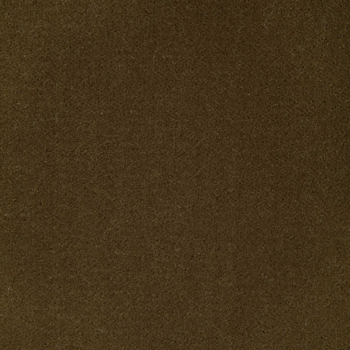 Fomo - Bronze - KRAVET CONTRACT Fabric