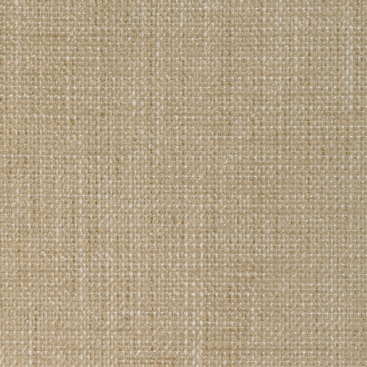 Poet Plain - Dune - KRAVET BASICS Fabric