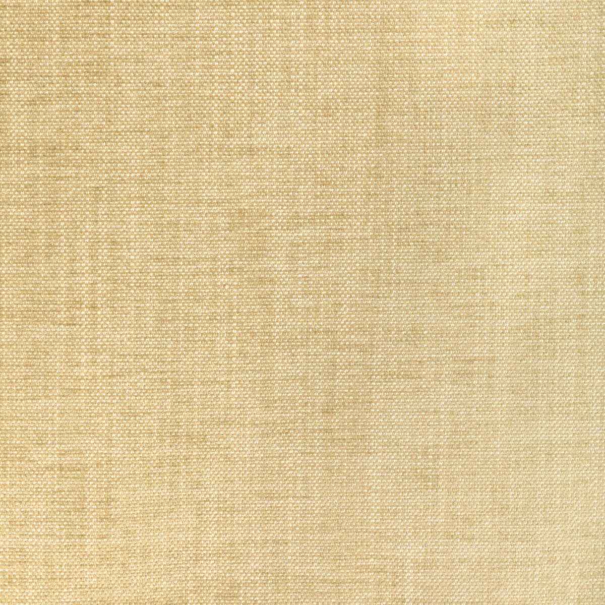 Kravet Smart 36650 1116 Fabric