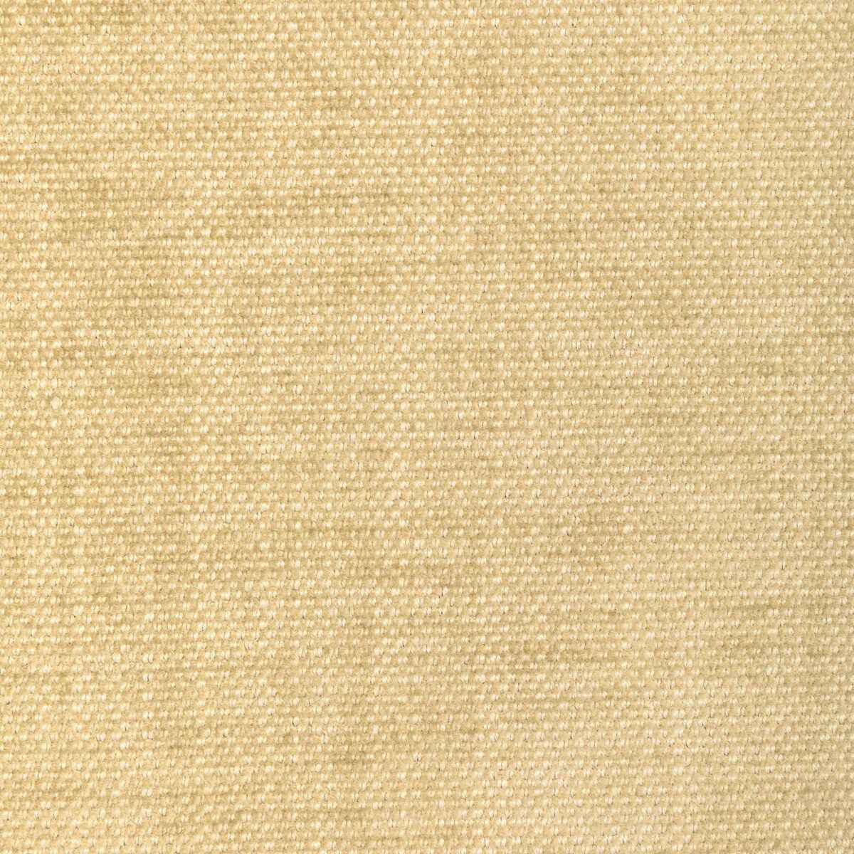 Kravet Smart 36650 1116 Fabric - KRAVET SMART Fabric