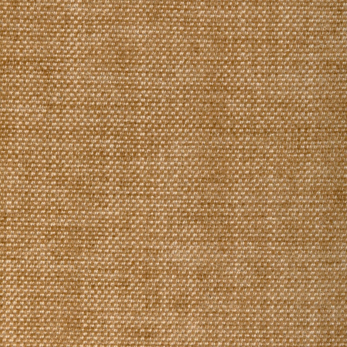 Kravet Smart - 36650-1616 - KRAVET SMART Fabric