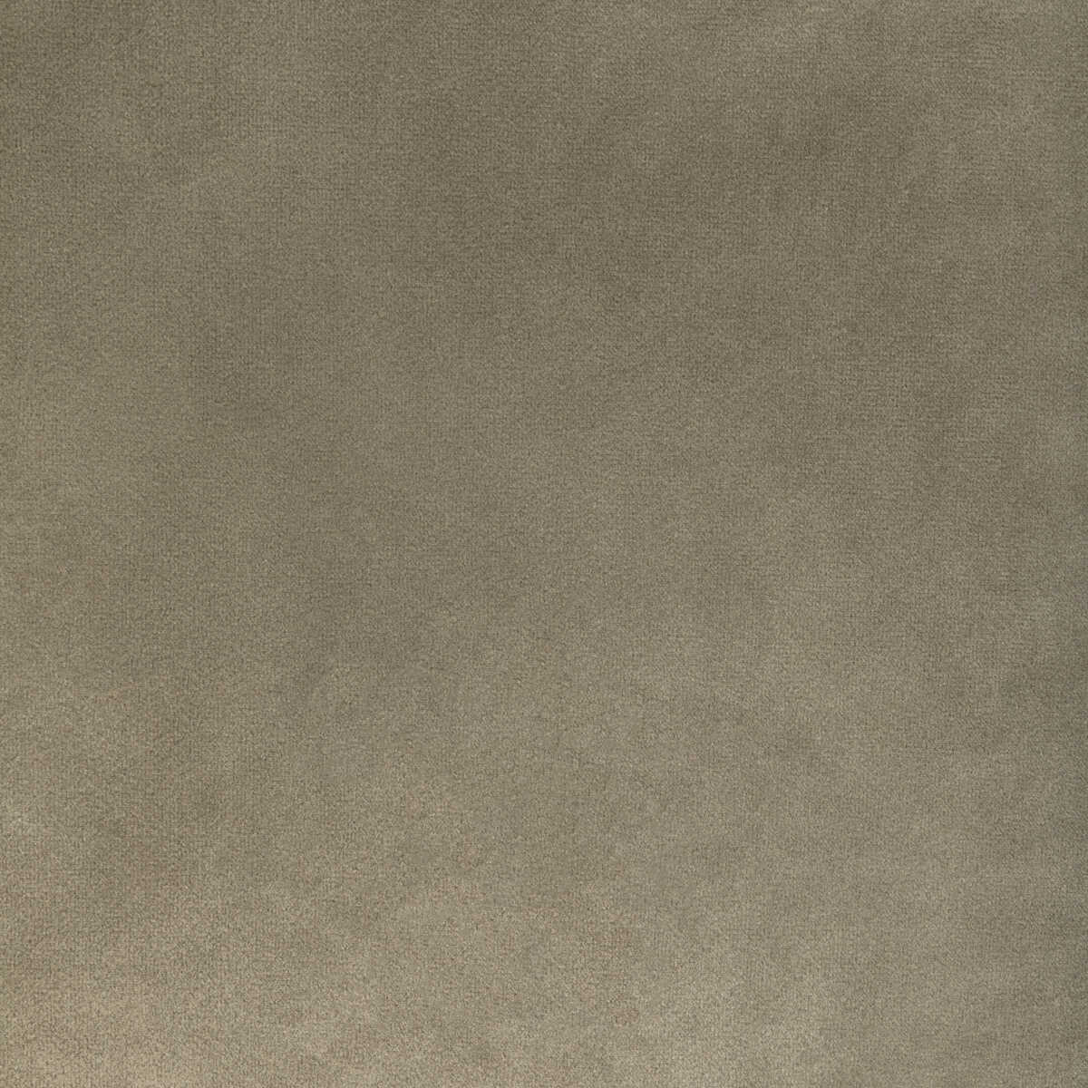 Rocco Velvet - Mink