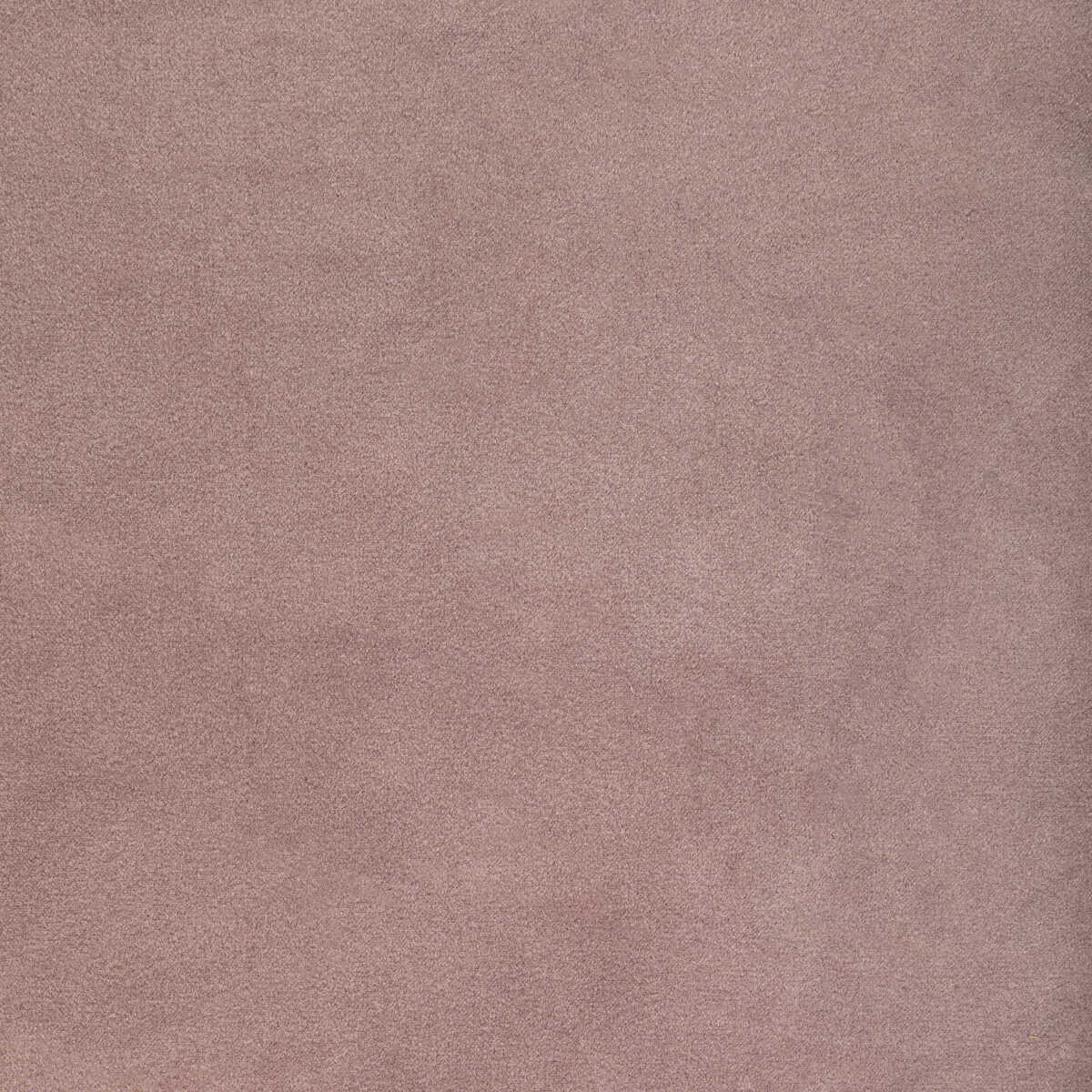Rocco Velvet - Wisteria