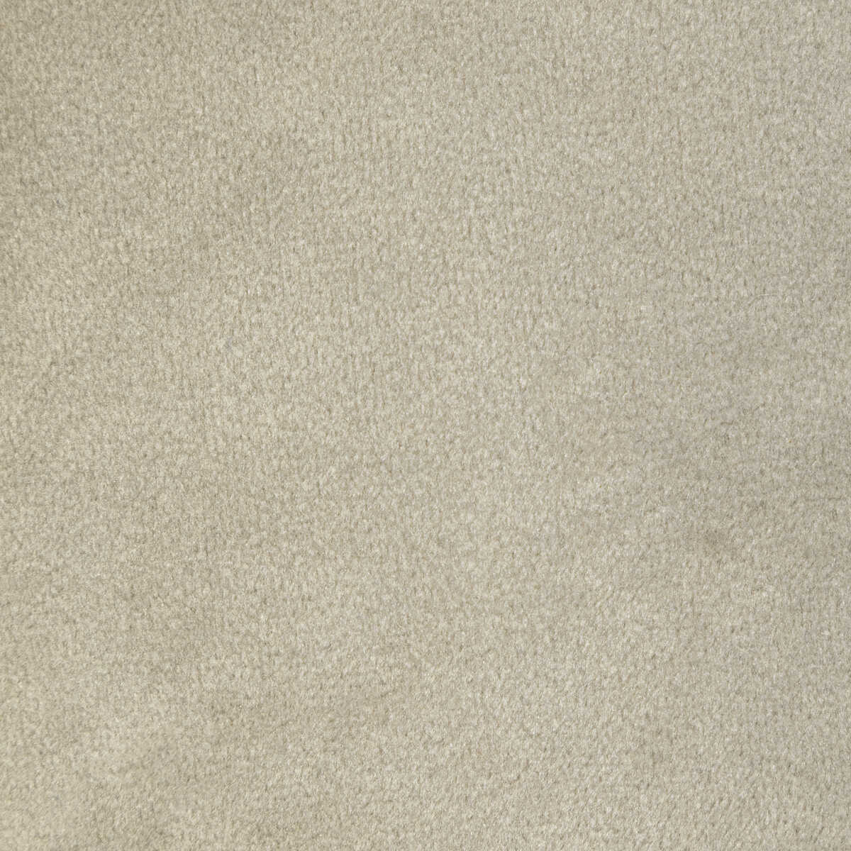 Rocco Velvet - Silver - KRAVET CONTRACT Fabric