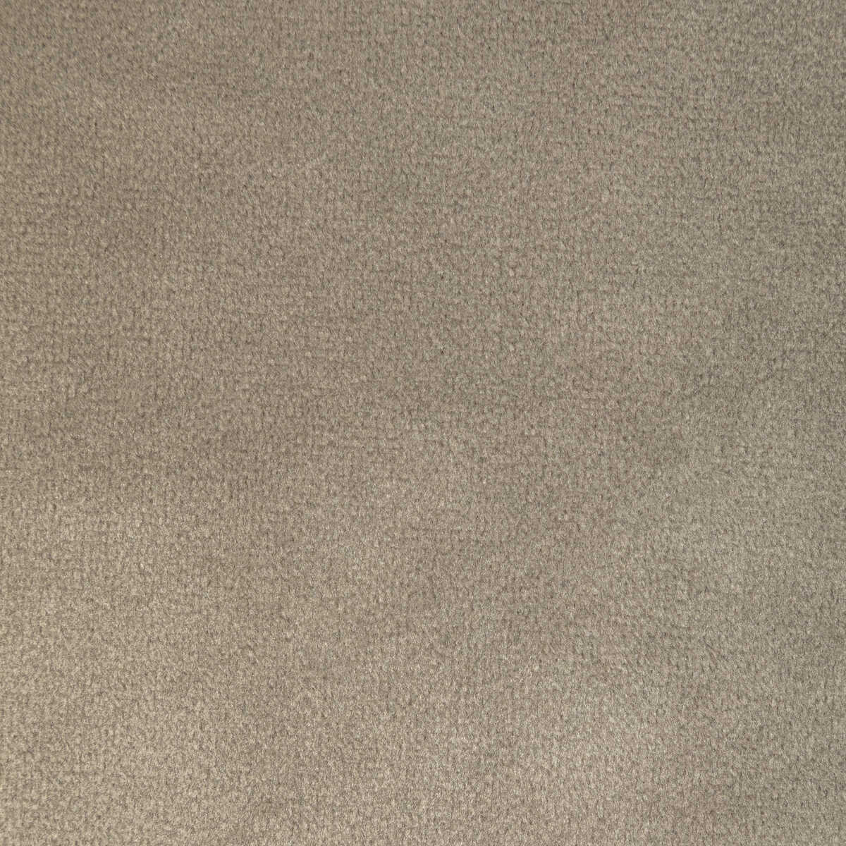 Rocco Velvet - Stone - KRAVET CONTRACT Tela