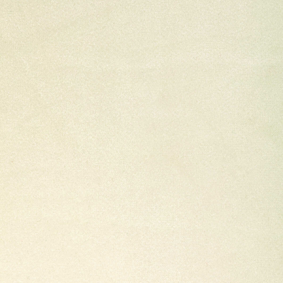 Rocco Velvet - Snowcap - KRAVET CONTRACT Tela