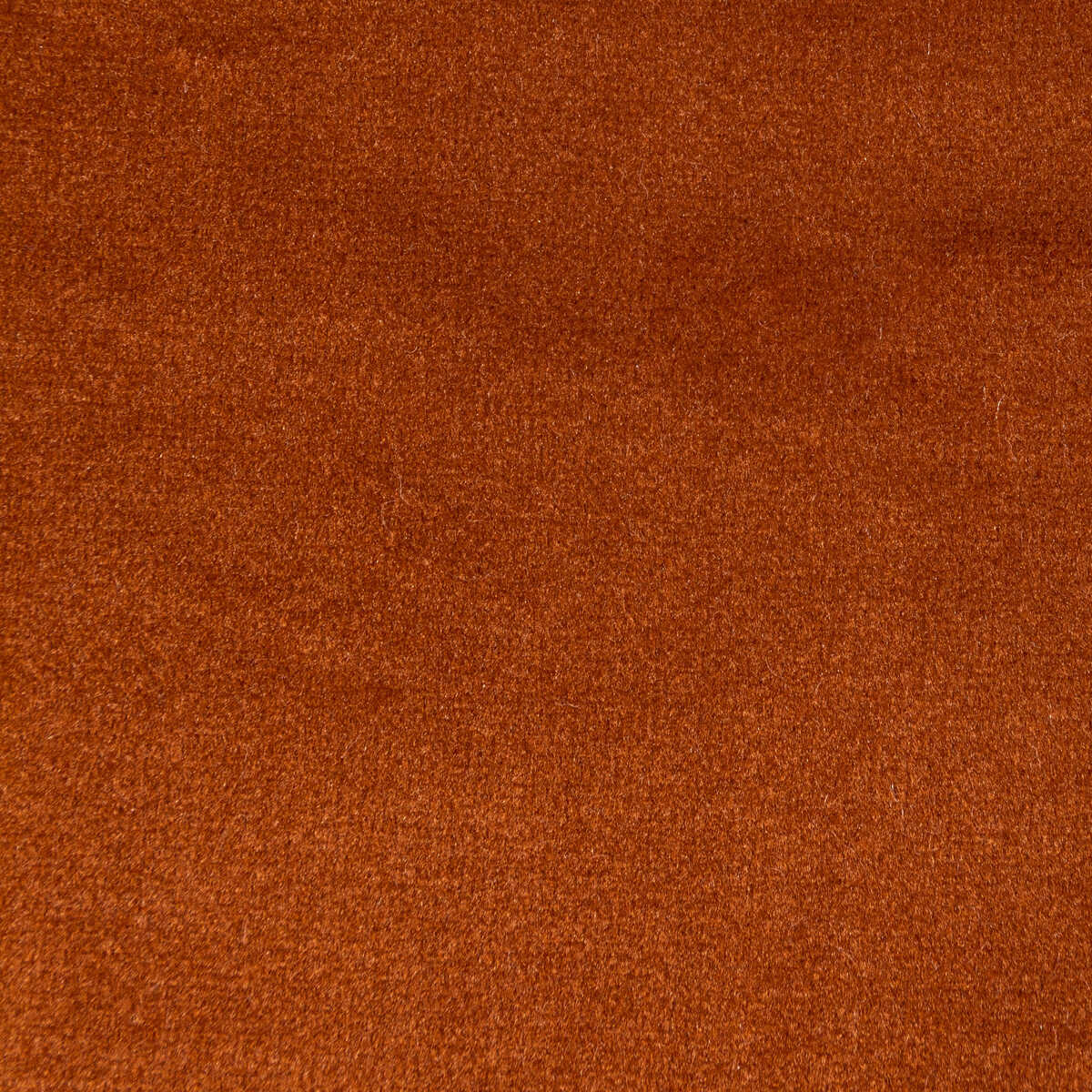 Rocco Velvet - Spice - KRAVET CONTRACT Fabric