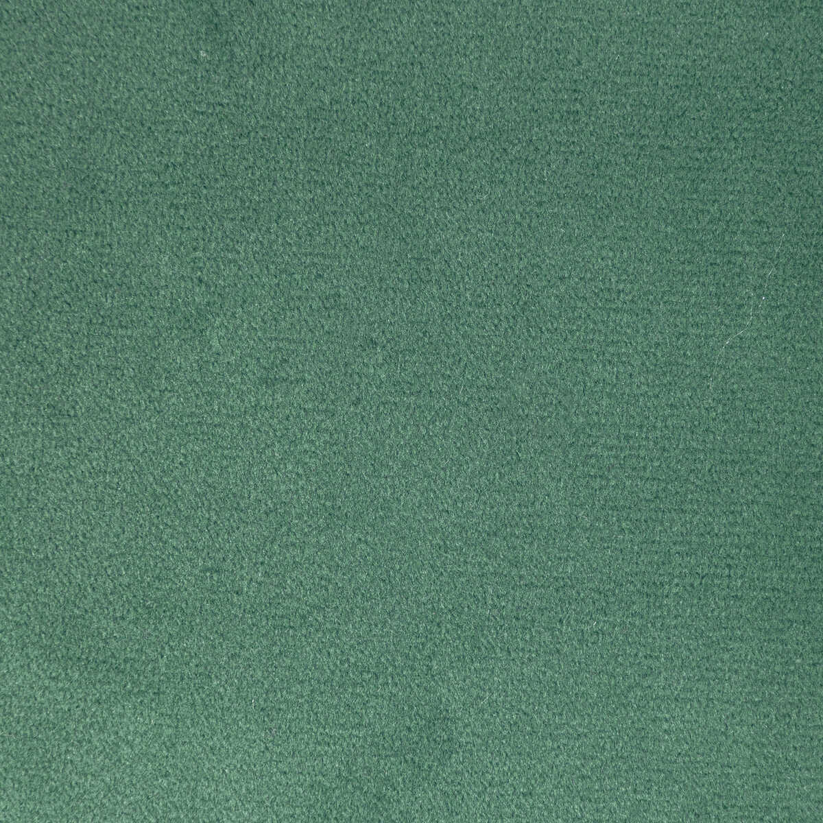 Rocco Velvet - Grotto - KRAVET CONTRACT Fabric