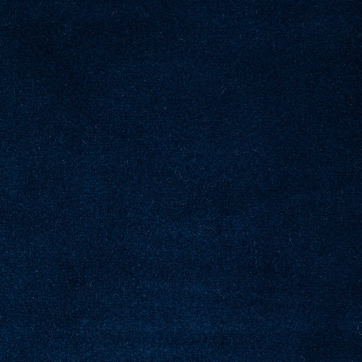 Rocco Velvet - Cobalt - KRAVET CONTRACT Tela
