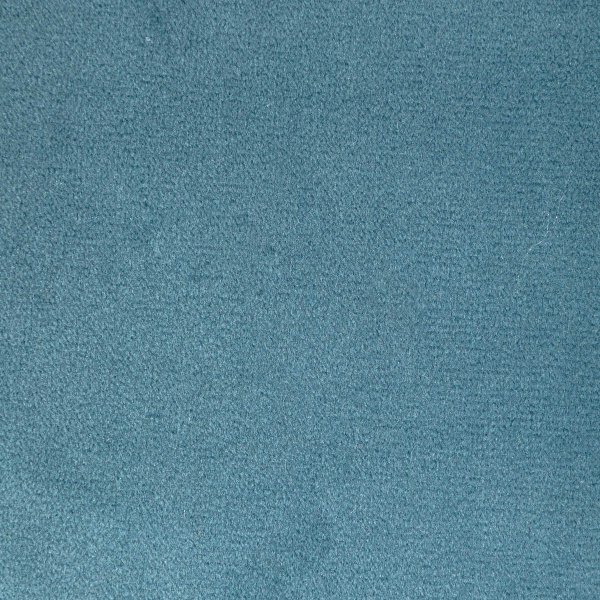 Rocco Velvet - Harbour - KRAVET CONTRACT Tela