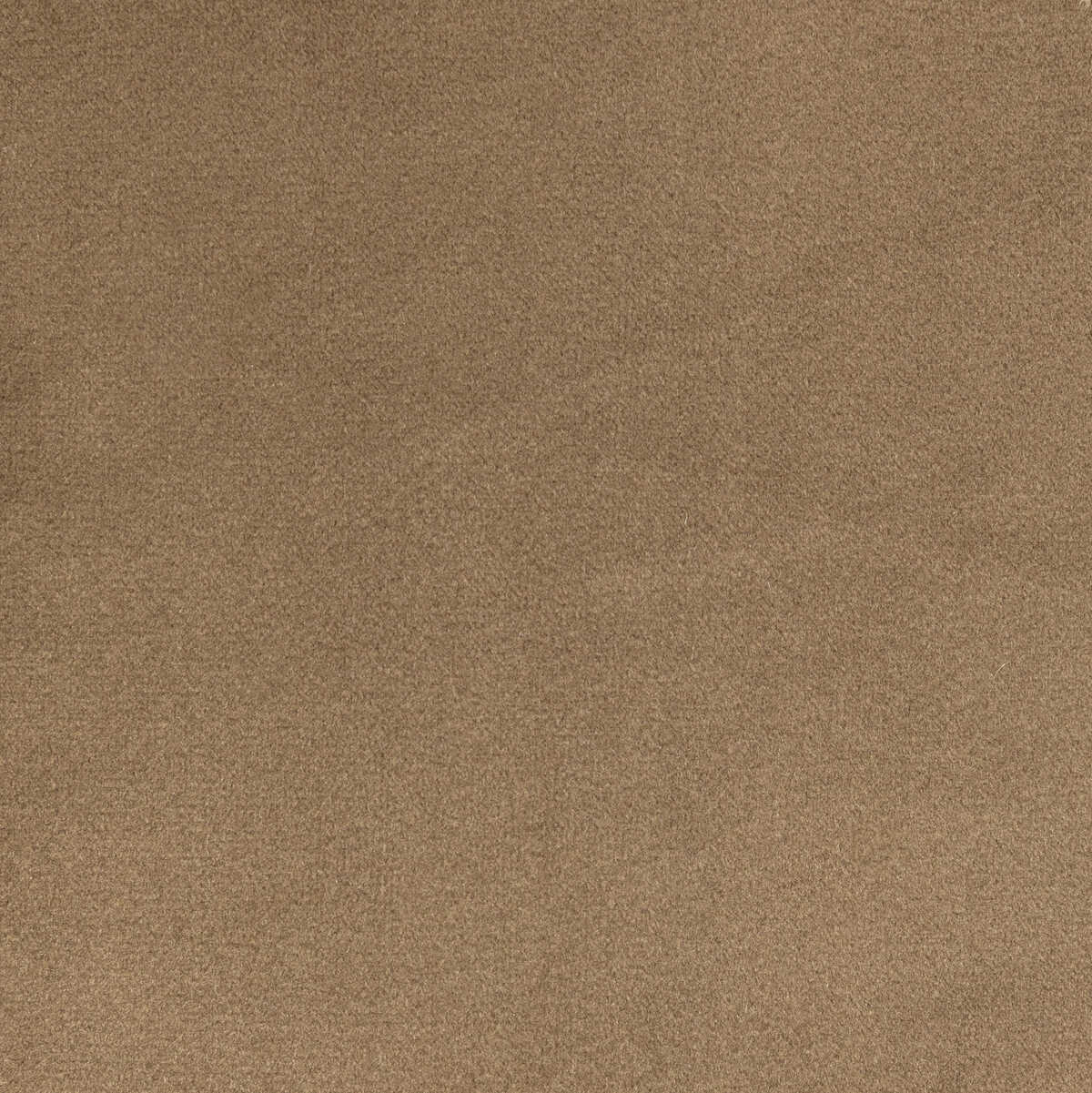 Rocco Velvet - Dune - KRAVET CONTRACT Fabric
