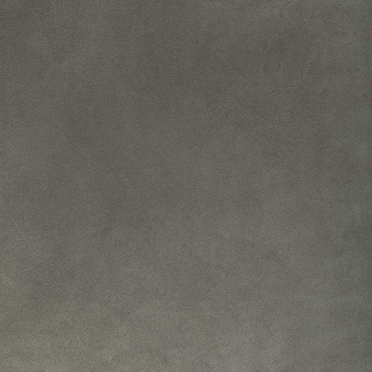Rocco Velvet - Anise
