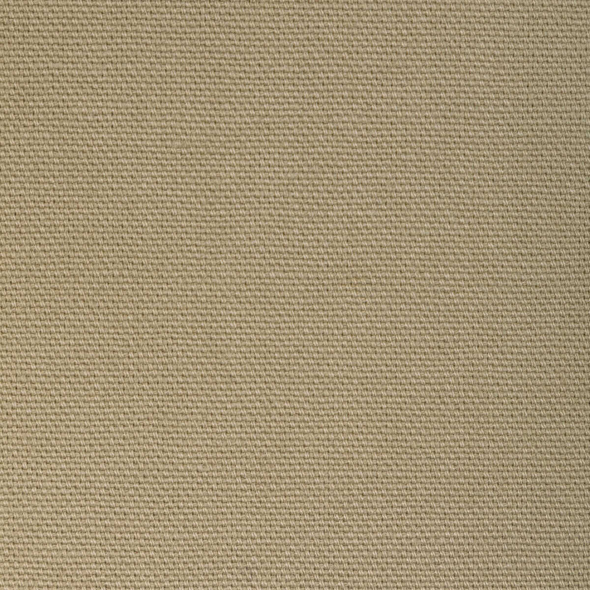 Kravet Basics - 36656-1616 - KRAVET BASICS Fabric