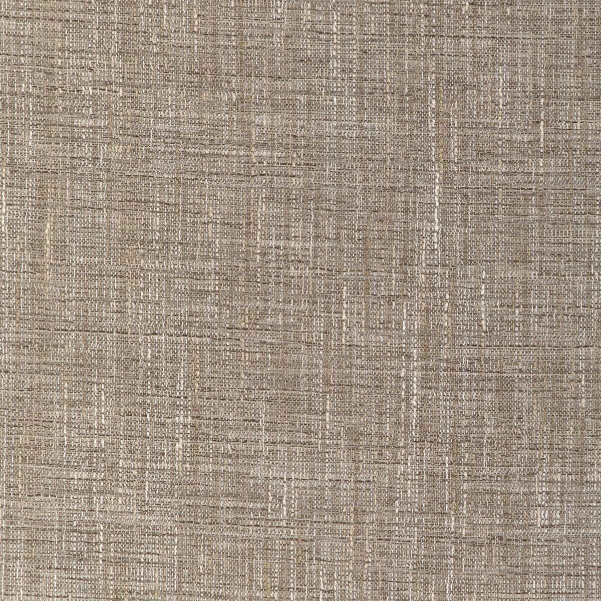 Kravet Smart 36661 106 Fabric