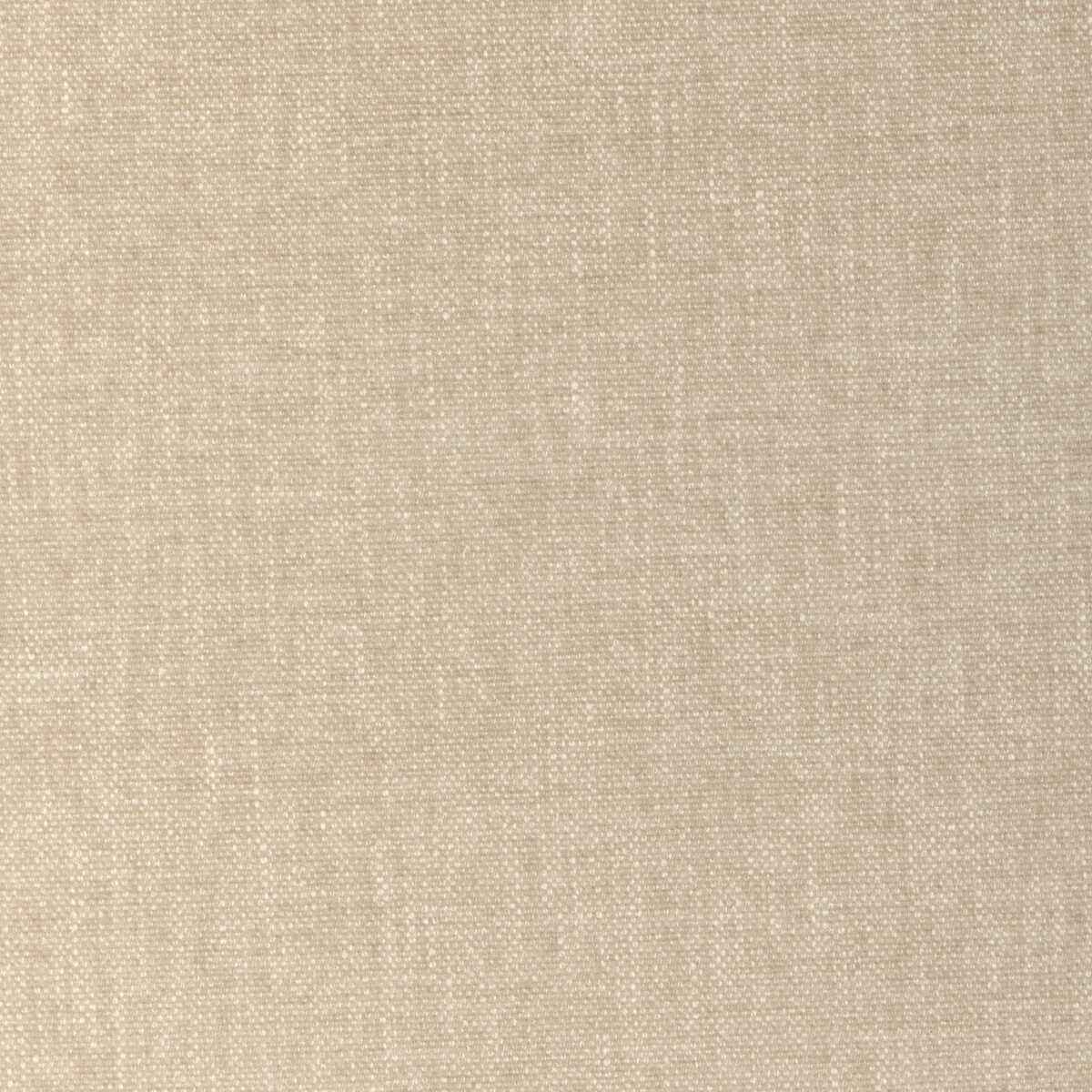 Kravet Smart 36663 1116 Fabric
