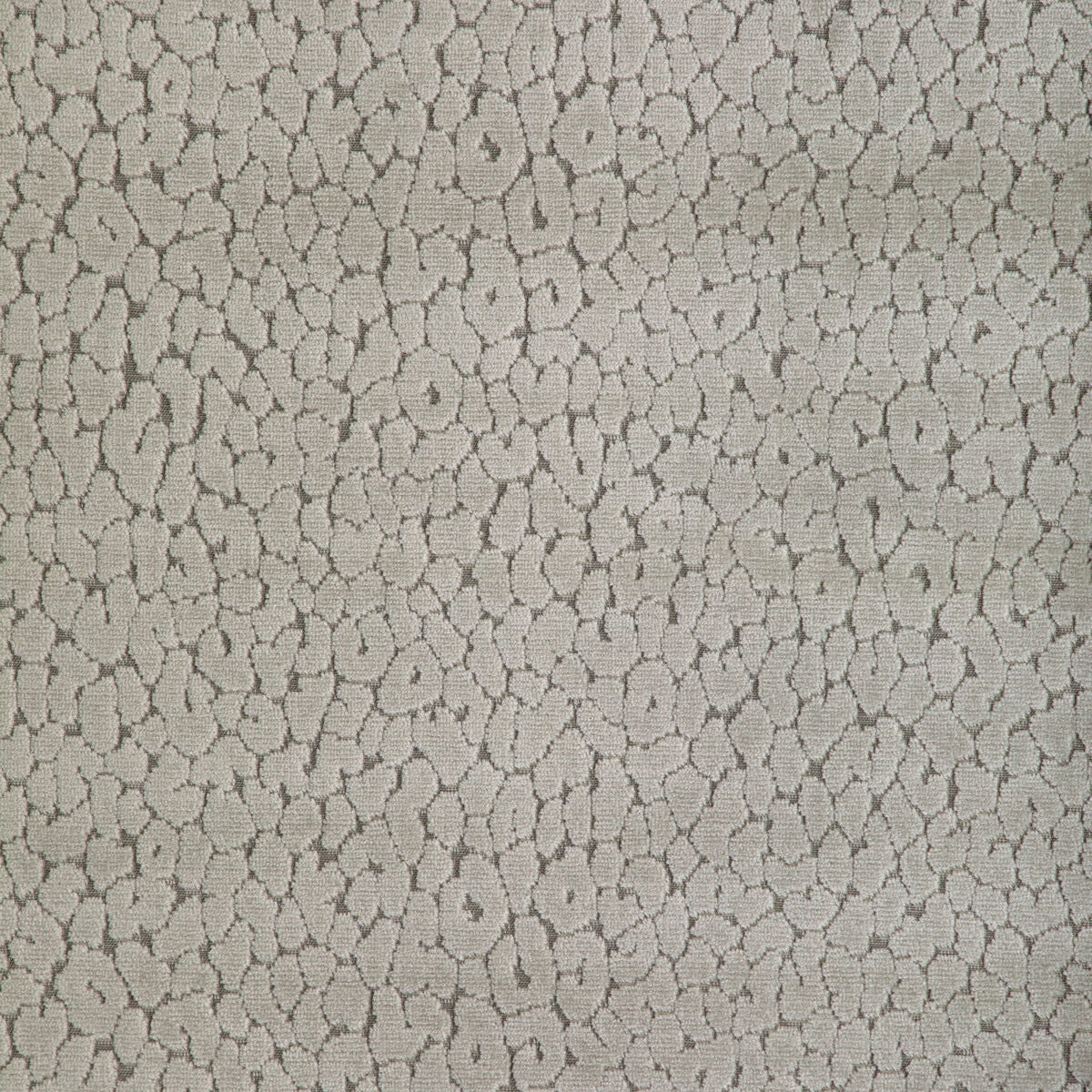 Instinctive - Taupe - Kravet Design Fabric