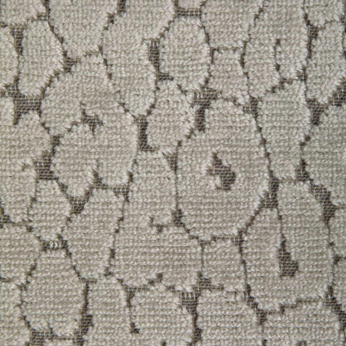 Instinctive - Taupe - Kravet Design Fabric