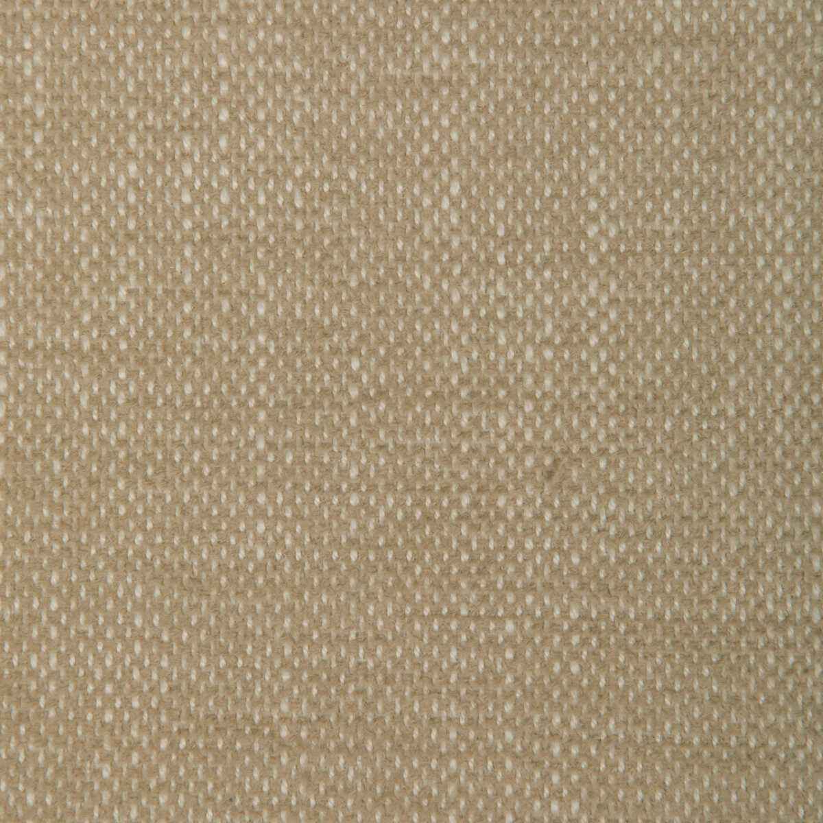 Kravet Smart 36885 16 Fabric - KRAVET SMART Fabric