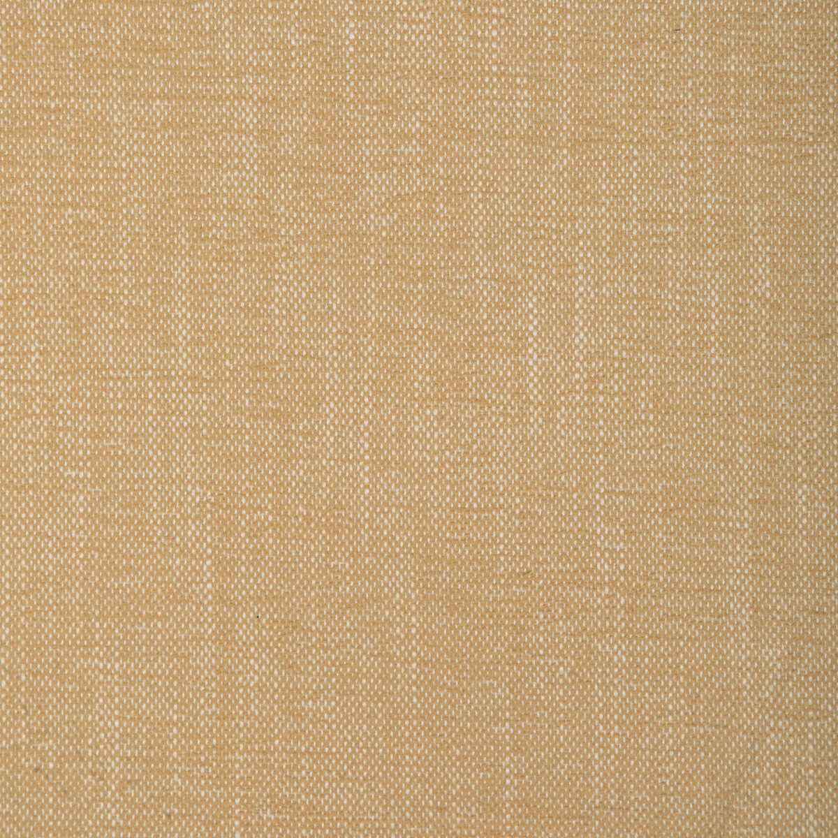 Kravet Smart 36885 44 Fabric