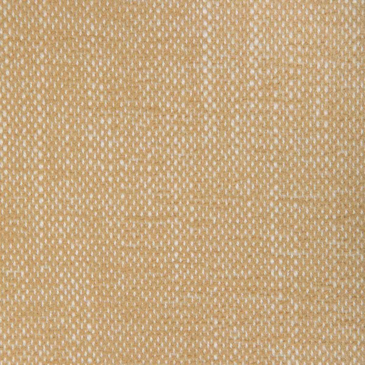 Kravet Smart 36885 44 Fabric - KRAVET SMART Fabric