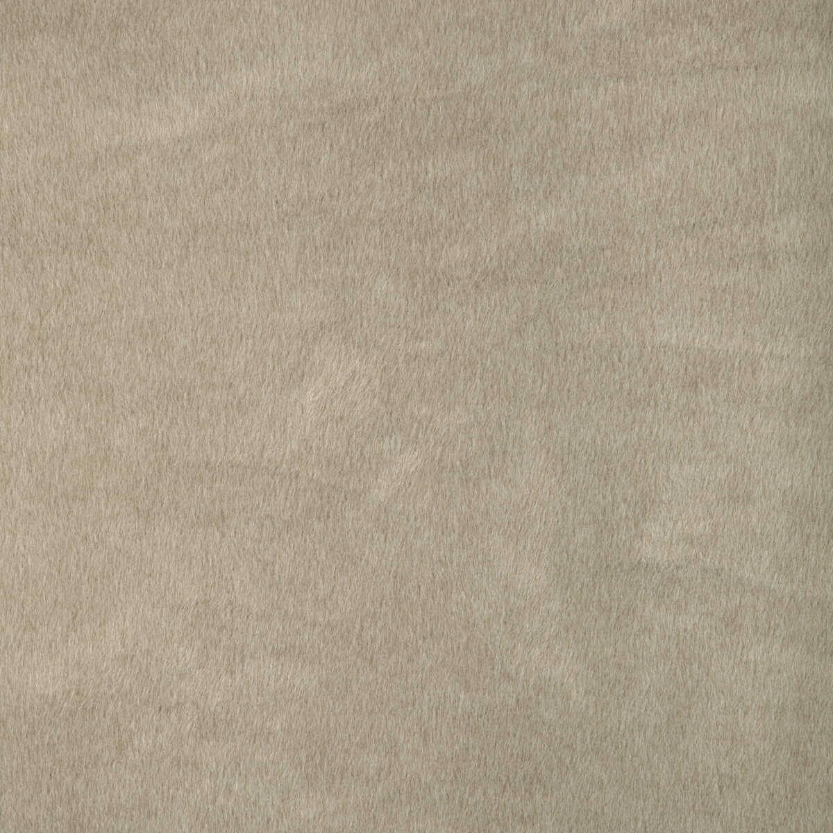 Kravet Basics - 36897-16 - KRAVET BASICS Fabric