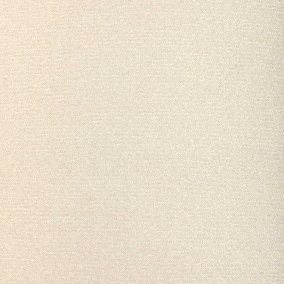 Rohe Boucle - Ivory - KRAVET BASICS Fabric