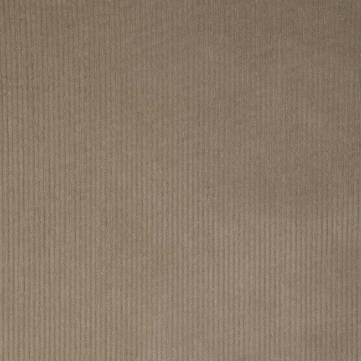 Kravet Smart - 37006-106 - KRAVET SMART Fabric