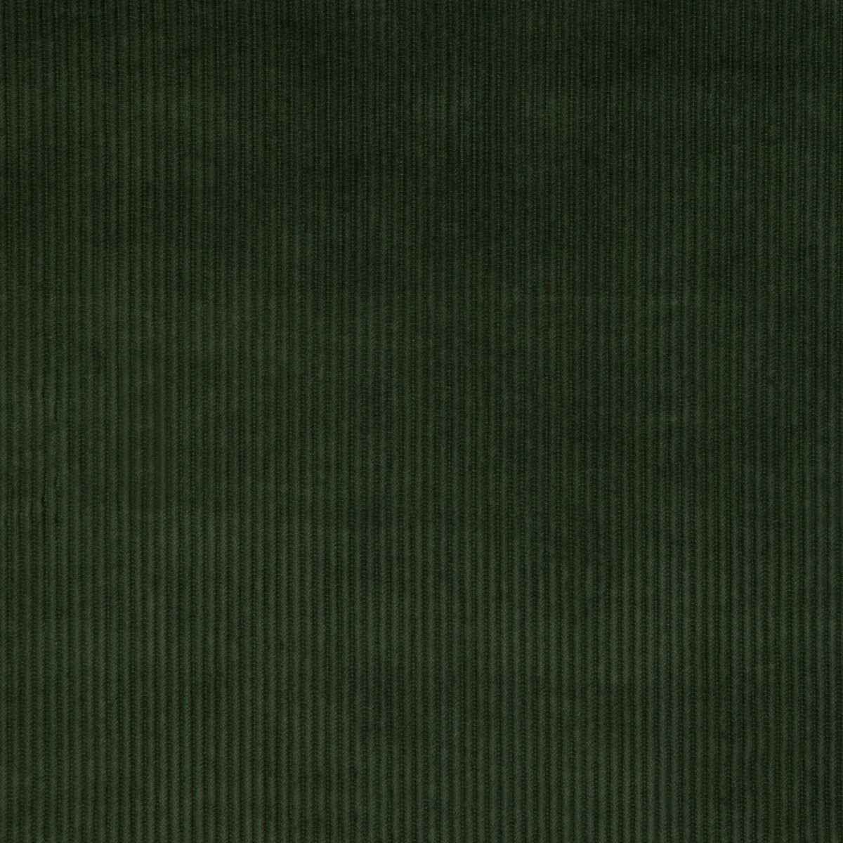 Kravet Smart 37006 3333 Fabric - KRAVET SMART Fabric