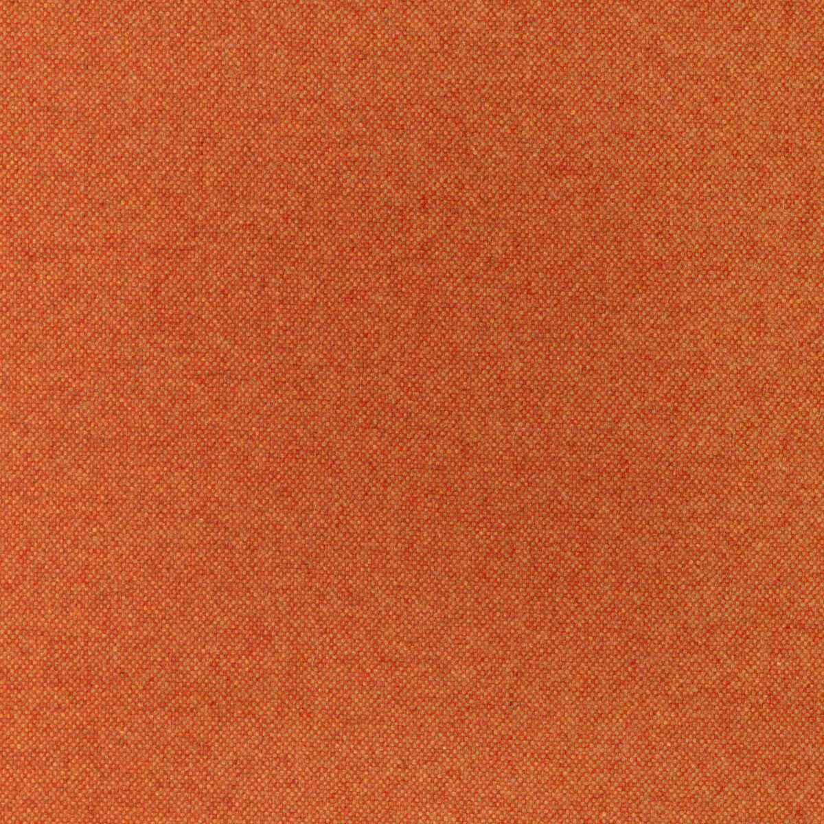 Manchester Wool - Squash