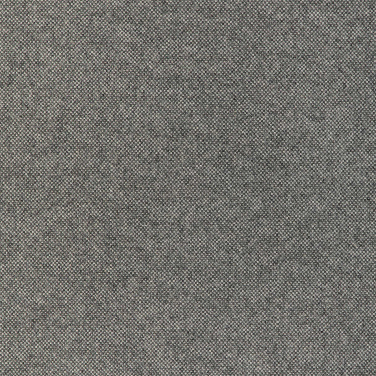 Manchester Wool - Falcon