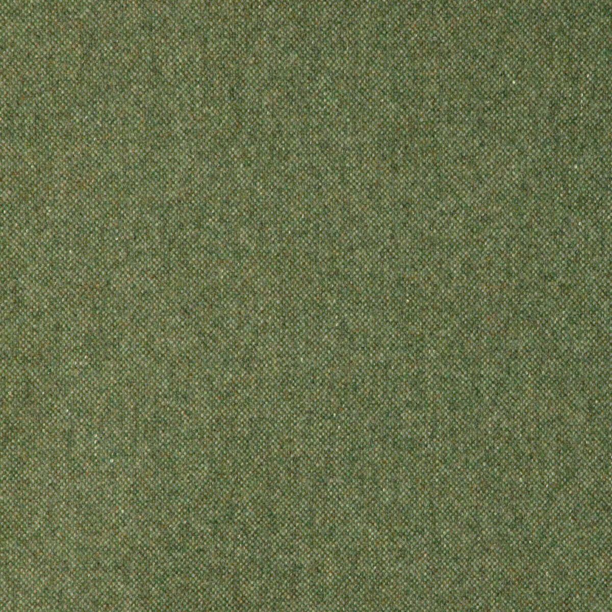 Manchester Wool - Cactus
