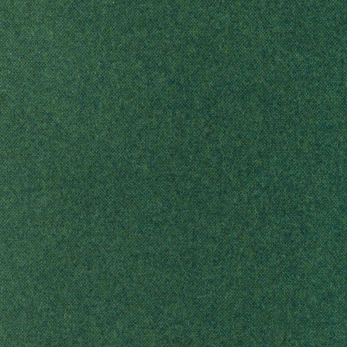 Manchester Wool - Foliage