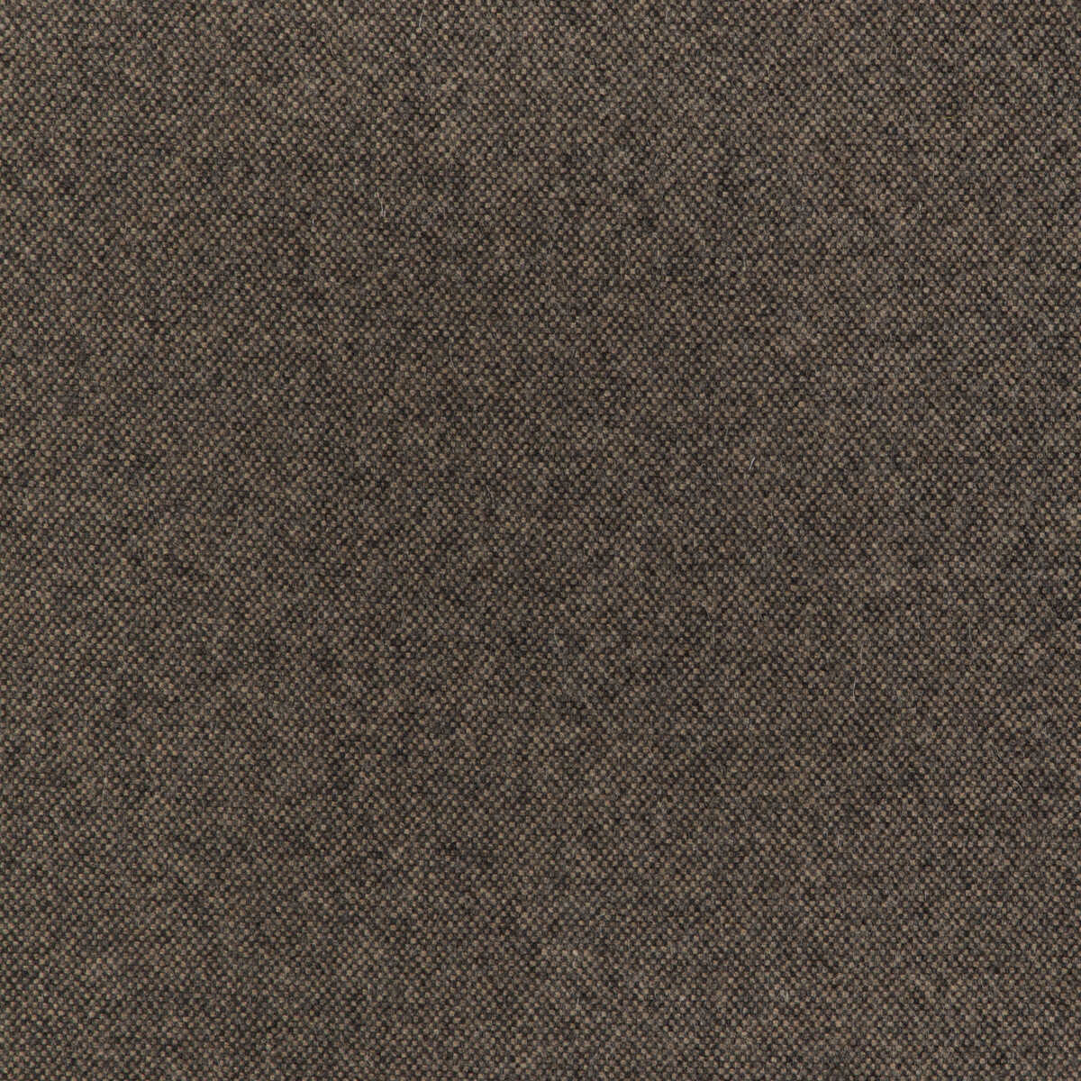 Manchester Wool - Java